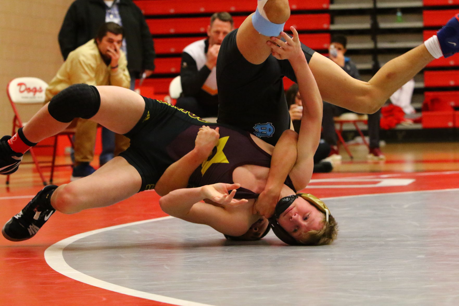 Gallery: Crown Point Wrestling Regional